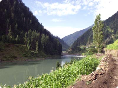 Jhelum River Picture
