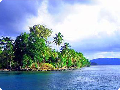 New Guinea Island Picture