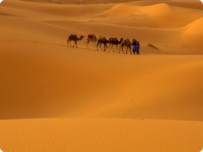 Sahara is the largest desert of the world The total area of Sahara desert