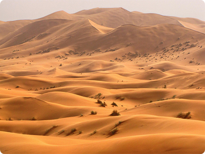 The name comes from the Arabic word for desert Sahara Desert