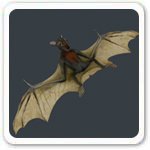 Halcon Fruit Bat Endangered Mammals Picture
