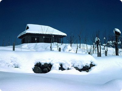 Kashmir