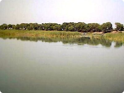 On which River Gomal Zam Dam has been Build? Information of the world